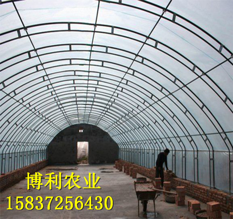養殖大棚29